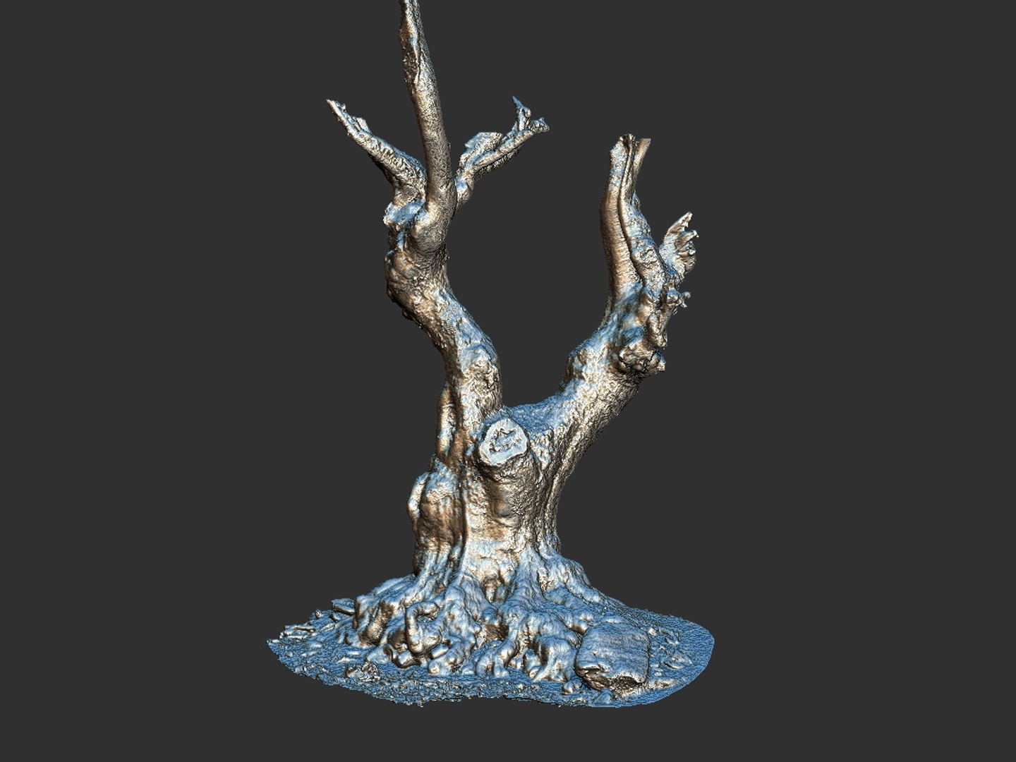 3D ancient forest pack 16k https://p.turbosquid.com/ts-thumb/i9/CUq0cZ/RgrG1B8M/78788/jpg/1537265192/1920x1080/fit_q87/6268c35be42de6ddfcc17c71373ab835215ddcb9/78788.jpg
