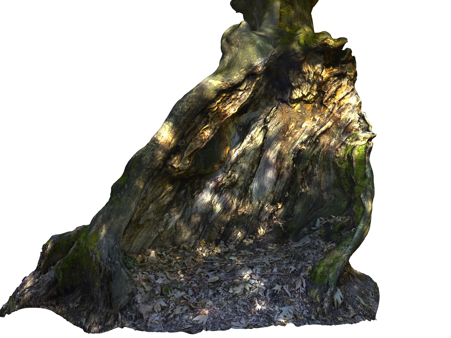 3D ancient forest pack 16k https://p.turbosquid.com/ts-thumb/i9/CUq0cZ/RkfmtRZg/0000/jpg/1537265317/1920x1080/turn_fit_q99/b4a8006f37ae12d15f60c61f7c00b789e5a48df8/0000-1.jpg
