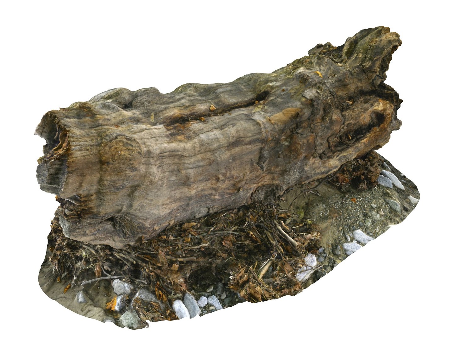3D ancient forest pack 16k https://p.turbosquid.com/ts-thumb/i9/CUq0cZ/TX7IEsGD/6756778/jpg/1537265139/1920x1080/fit_q87/94aeaebd4c54506137766940891324650e7268d8/6756778.jpg