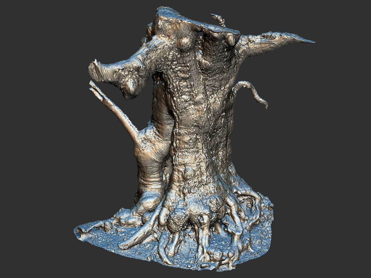 3D ancient forest pack 16k https://p.turbosquid.com/ts-thumb/i9/CUq0cZ/TeiLhADz/6777/jpg/1537265207/1920x1080/fit_q87/8bf6baa01e0cc8519935718f0665788e211a607b/6777.jpg