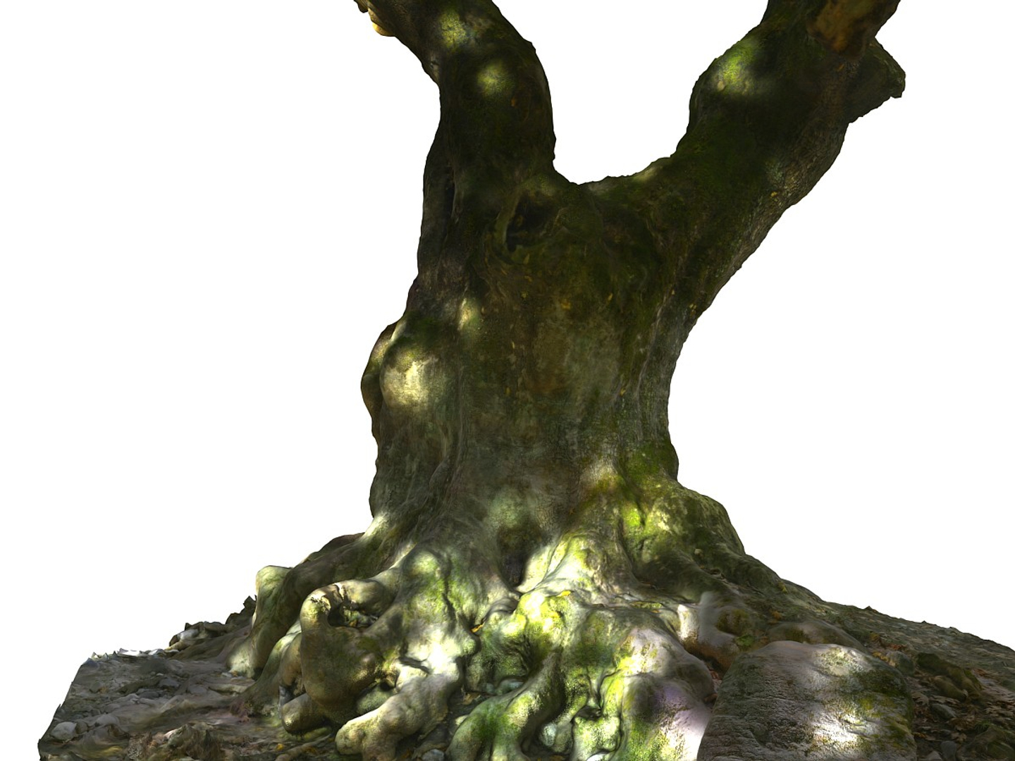 3D ancient forest pack 16k https://p.turbosquid.com/ts-thumb/i9/CUq0cZ/VxX1uVCp/0000/jpg/1537265791/1920x1080/turn_fit_q99/610330d2419abd386f3d12613645c9f9fb74ec0d/0000-1.jpg