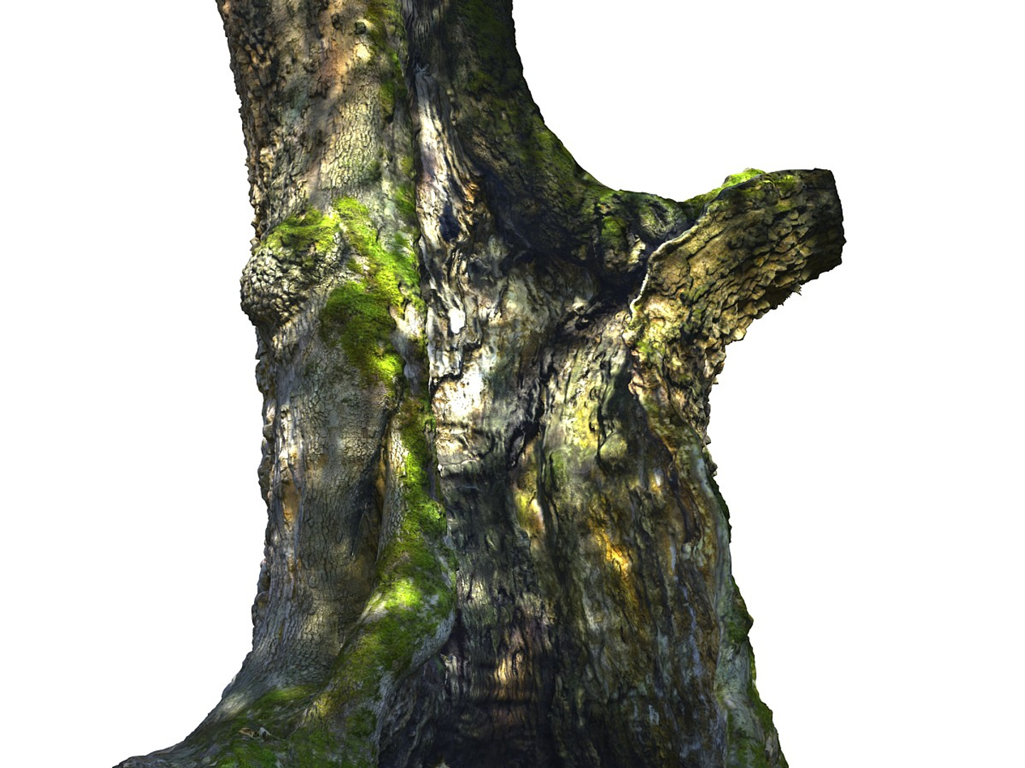 3D ancient forest pack 16k https://p.turbosquid.com/ts-thumb/i9/CUq0cZ/X52ii5jv/0000/jpg/1537265345/1920x1080/turn_fit_q99/5913f2da8ed749da1ff88f8233230d8260a49e88/0000-1.jpg