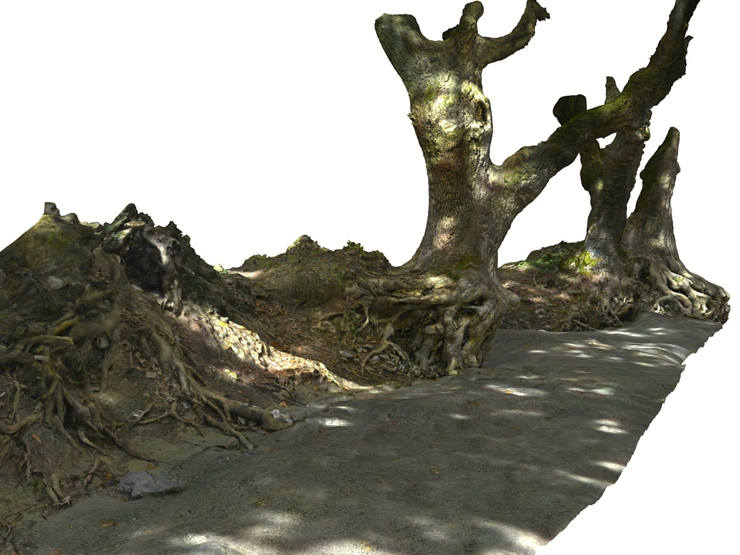 3D ancient forest pack 16k https://p.turbosquid.com/ts-thumb/i9/CUq0cZ/ZxoPQOC8/0000/jpg/1537186341/1920x1080/turn_fit_q99/5673bea75611b4ca994a63146e188544ee9c2e4d/0000-1.jpg