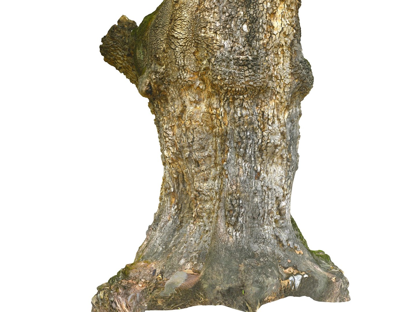 3D ancient forest pack 16k https://p.turbosquid.com/ts-thumb/i9/CUq0cZ/eM8n5egv/78888/jpg/1537265109/1920x1080/fit_q87/67e9d32a988be1935c0e66347b4bbfddcd0efd08/78888.jpg