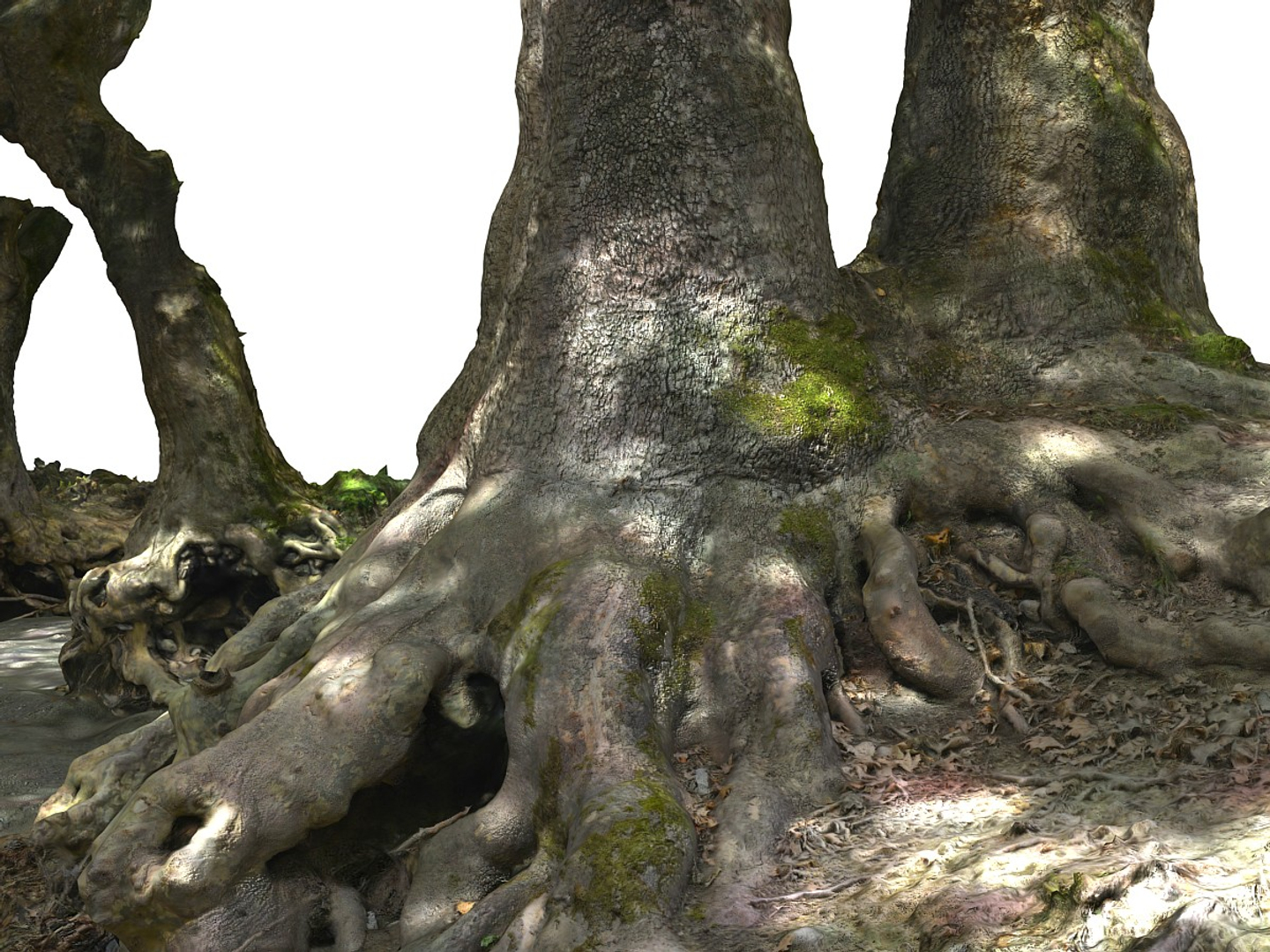 3D ancient forest pack 16k https://p.turbosquid.com/ts-thumb/i9/CUq0cZ/lNDEPRrR/0000/jpg/1537187529/1920x1080/turn_fit_q99/cd50200ecf68cf6603c818aa59c4ea1d007eee7f/0000-1.jpg