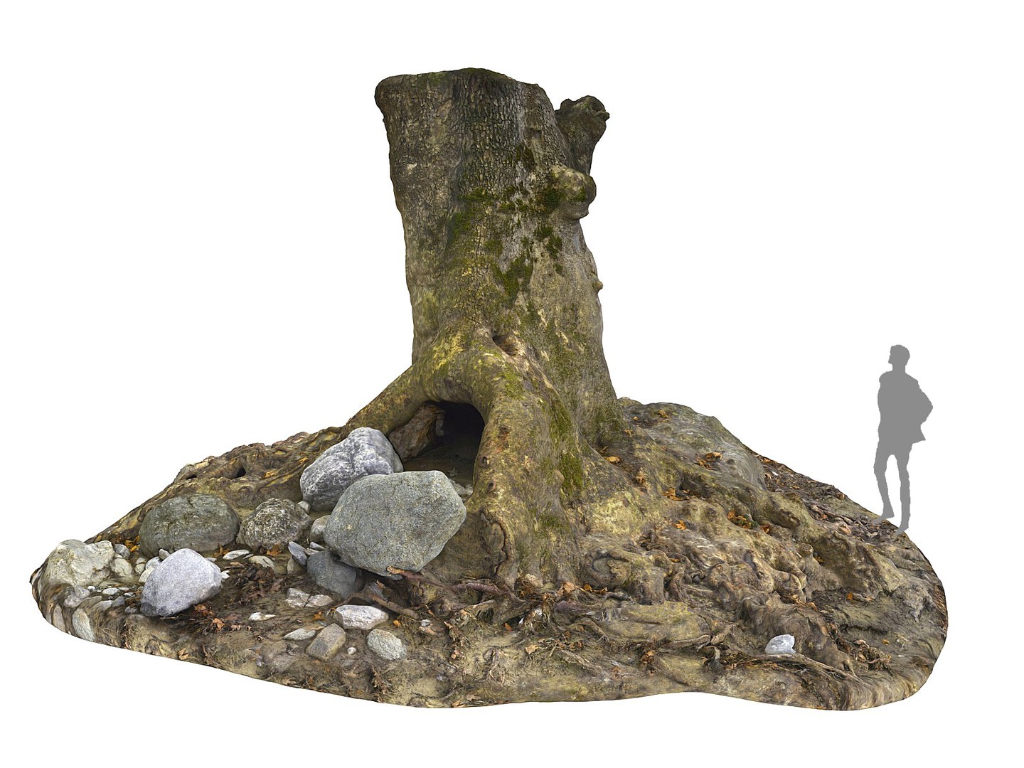 3D ancient forest pack 16k https://p.turbosquid.com/ts-thumb/i9/CUq0cZ/r3hs6gMN/77777777/jpg/1537265121/1920x1080/fit_q87/a2172cec1a47e1be9515982a7d4a64d09e31a9b4/77777777.jpg
