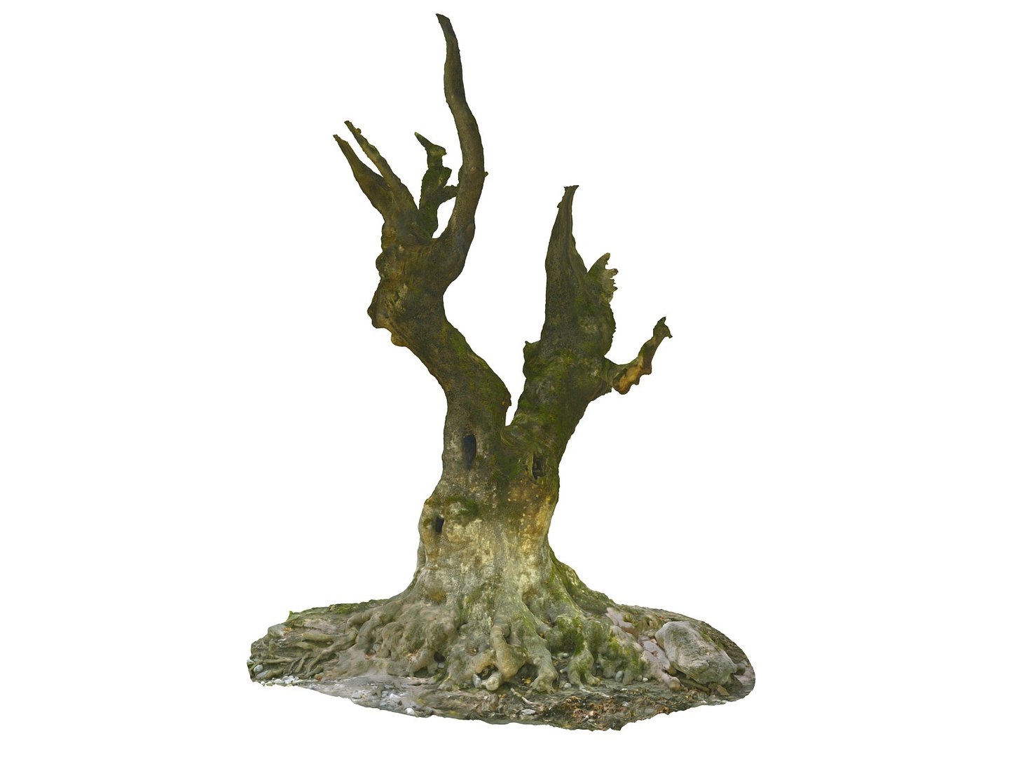 3D ancient forest pack 16k https://p.turbosquid.com/ts-thumb/i9/CUq0cZ/tx9mgXd2/65566/jpg/1537265191/1920x1080/fit_q87/b0885eae01d3c01393adcebaa3176e18020581f5/65566.jpg