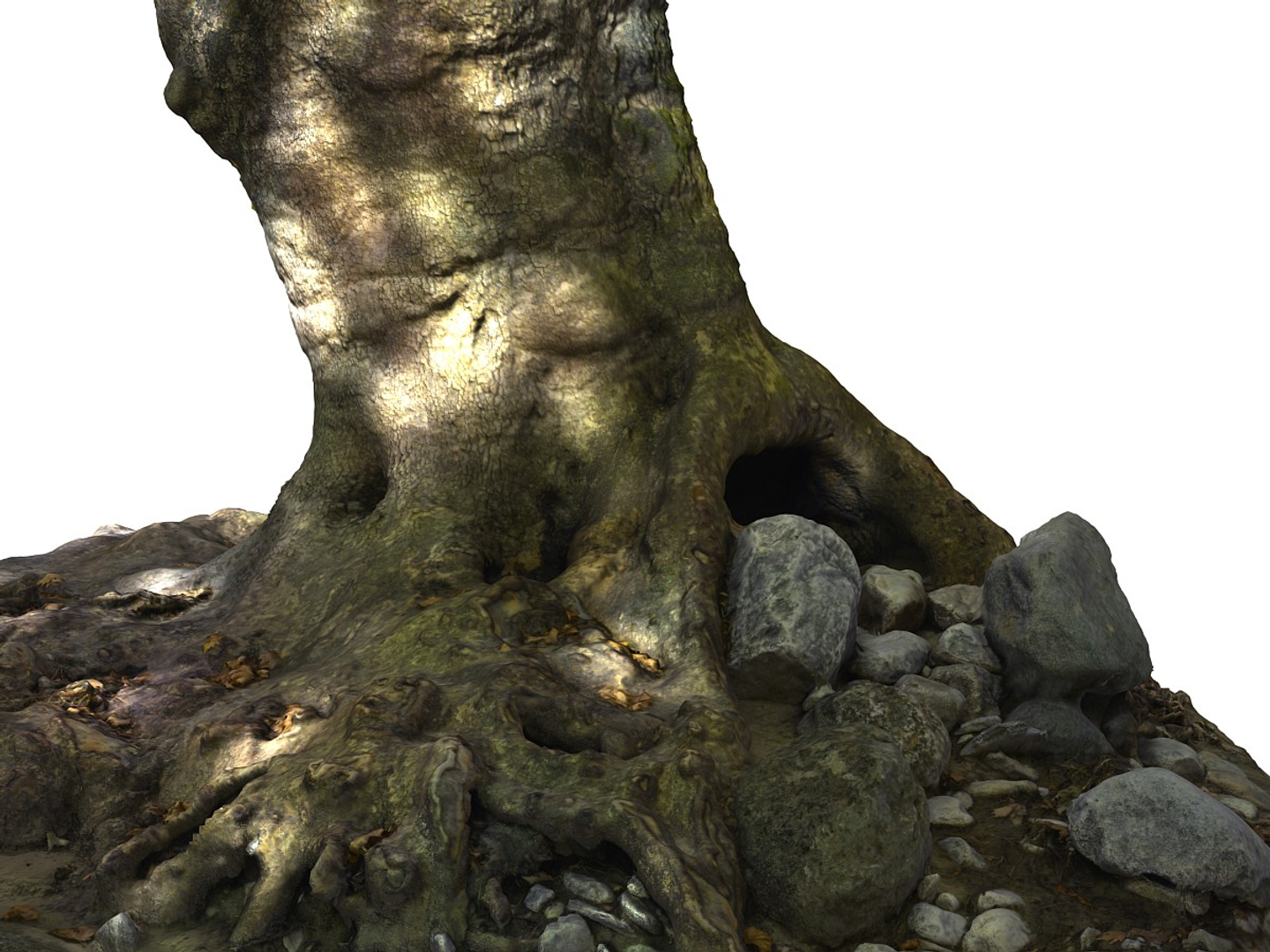 3D ancient forest pack 16k https://p.turbosquid.com/ts-thumb/i9/CUq0cZ/txP9xwPK/0000/jpg/1537265367/1920x1080/turn_fit_q99/1e2fc25e153977ce05173416b3af8a55cd91c7f0/0000-1.jpg