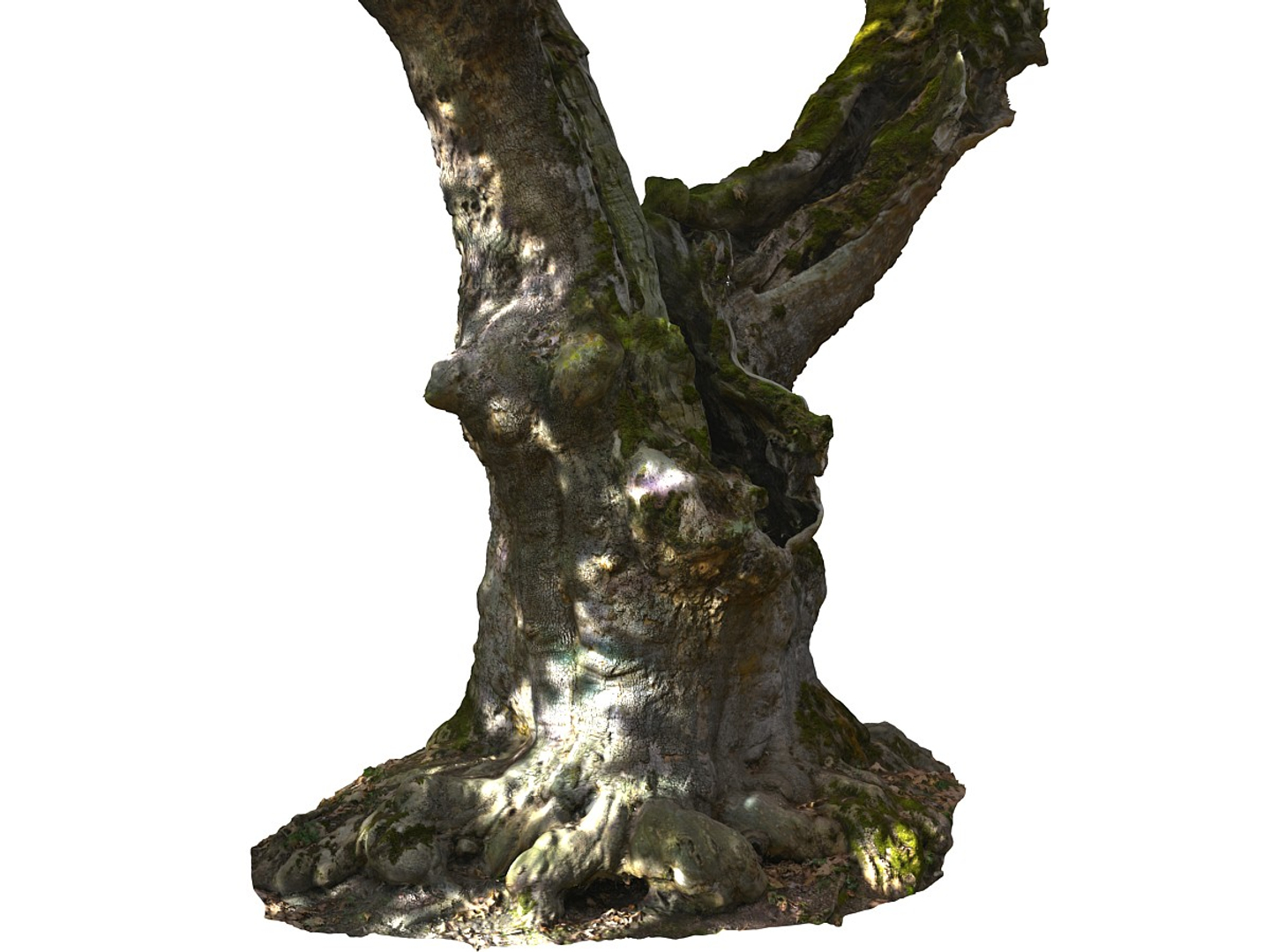 3D ancient forest pack 16k https://p.turbosquid.com/ts-thumb/i9/CUq0cZ/uRnPhZIN/0000/jpg/1537266424/1920x1080/turn_fit_q99/4d177e7da6dd044cca6d15a5f4e6c6133e5d6a93/0000-1.jpg
