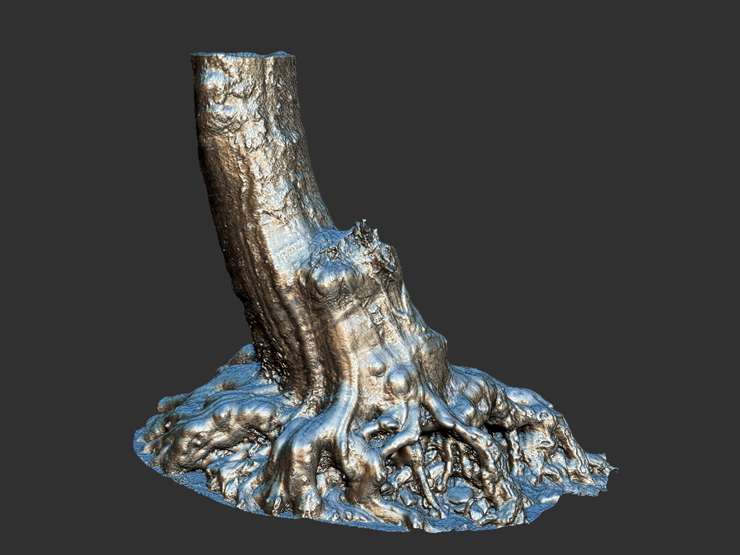 3D ancient forest pack 16k https://p.turbosquid.com/ts-thumb/i9/CUq0cZ/vq8m100y/66767/jpg/1537265166/1920x1080/fit_q87/5fdcf69d61ee81f31d288fc2aa5d7b57be4d9632/66767.jpg