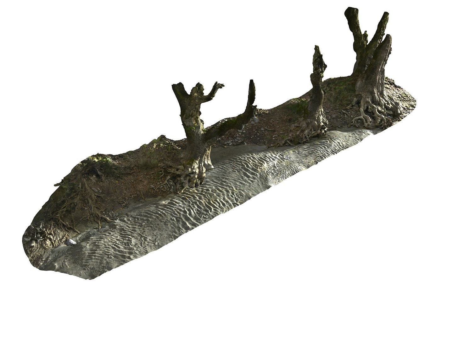 3D ancient forest pack 16k https://p.turbosquid.com/ts-thumb/i9/CUq0cZ/xKrMpfnh/567767/jpg/1537185315/1920x1080/fit_q87/c560b56391040907e3ba0d6b850c5003df6e37de/567767.jpg