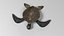 Sea turtle
