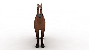 3D model Horse