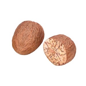 Nutmeg 3D model