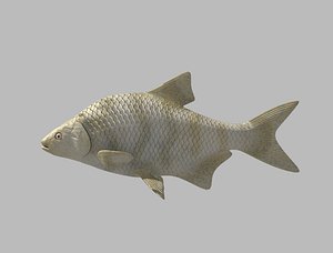 3D fish rigged model