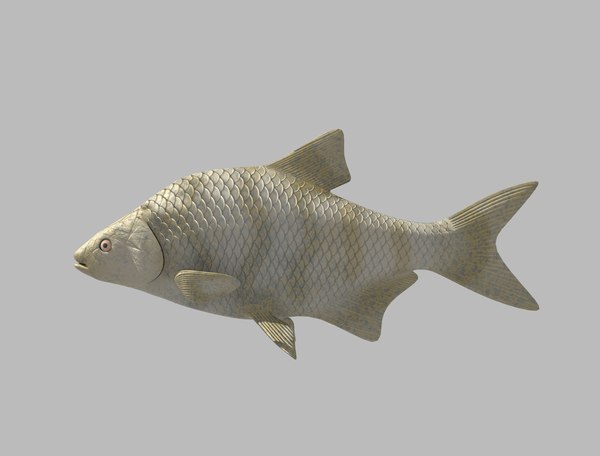 3D fish rigged - TurboSquid 1441965