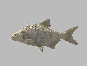 Fish Animated Rigged
