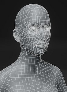 Female Body Base Mesh Animated and Rigged 3D Model 10k Polygons