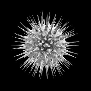 3d model dark cell