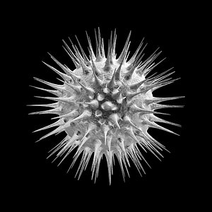 Darkcell