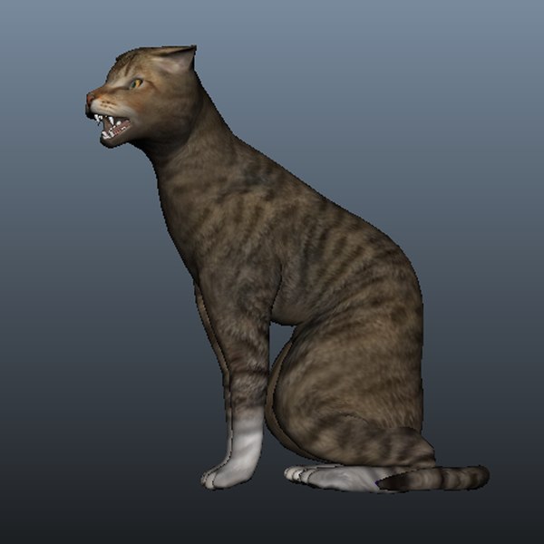 Base de gato para jogo Modelo 3D - TurboSquid 1300138