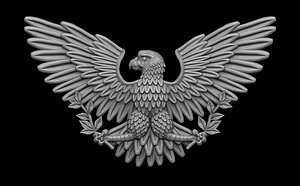Eagle Coat of arms of USA model