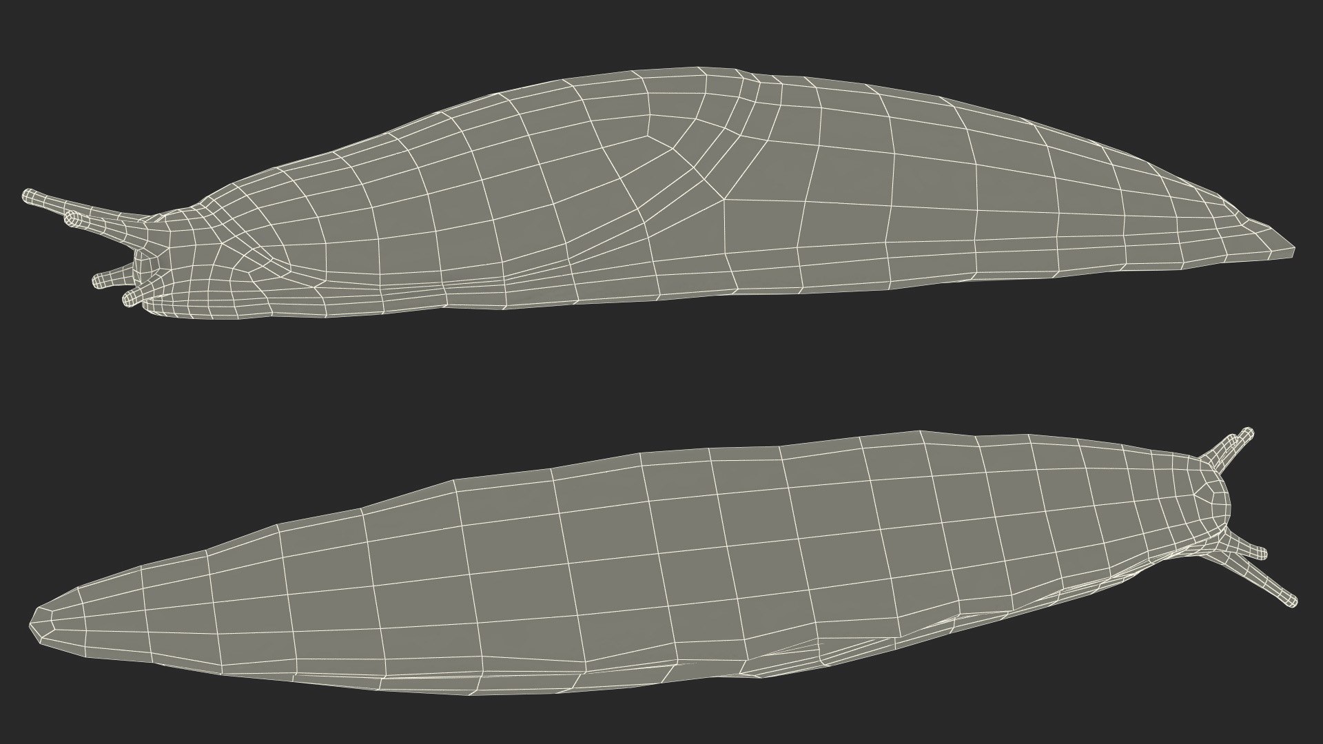 3D Spanish Slug Rigged https://p.turbosquid.com/ts-thumb/i9/urT7tL/5i/spanishslugriggedmb3dmodel034/jpg/1673610497/1920x1080/fit_q87/afd73c3917a2cdbbf143085af953e681c098a41f/spanishslugriggedmb3dmodel034.jpg