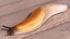 Spanish Slug Rigged