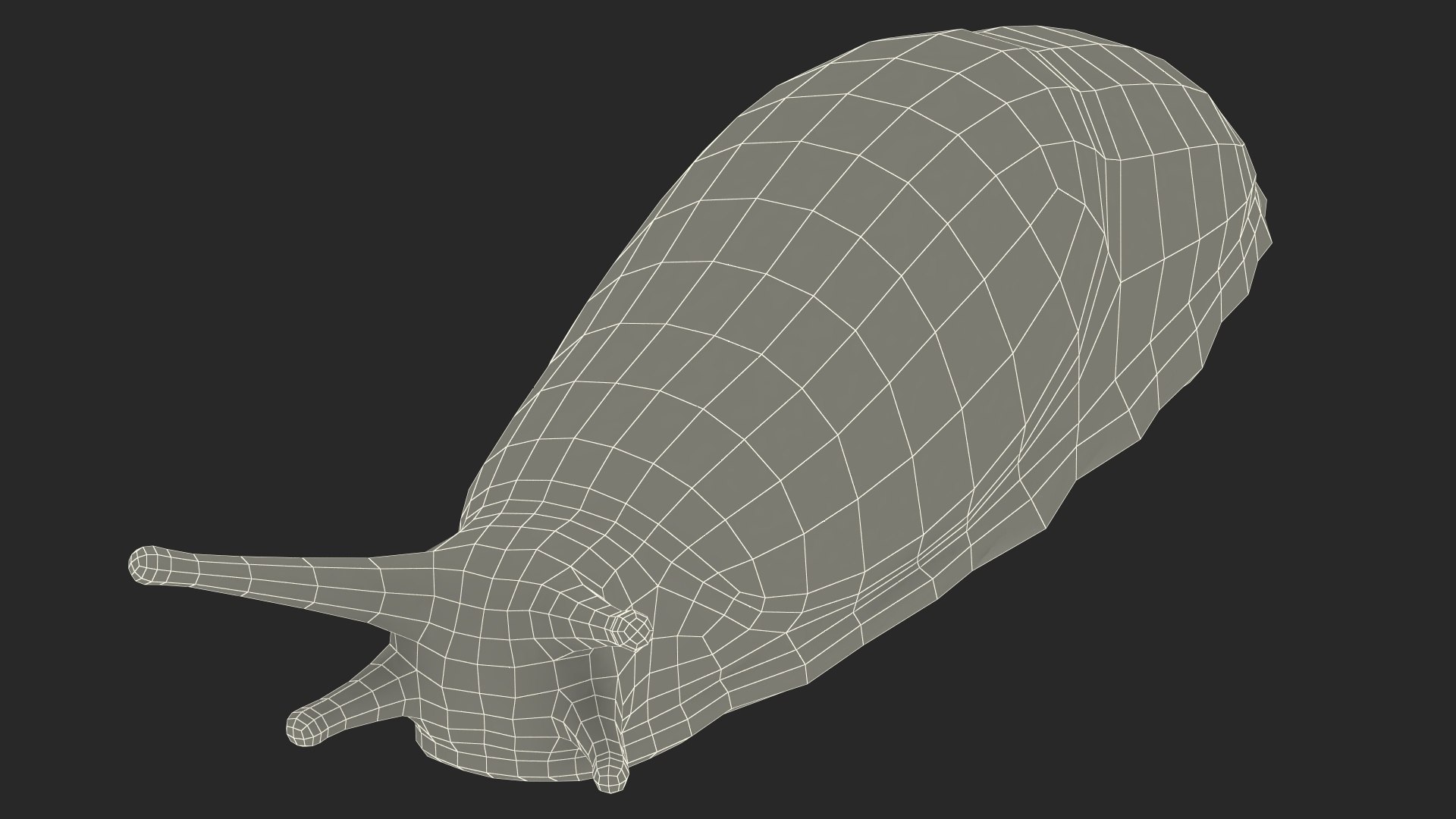 3D Spanish Slug Rigged https://p.turbosquid.com/ts-thumb/i9/urT7tL/7u/spanishslugriggedmb3dmodel033/jpg/1673610494/1920x1080/fit_q87/ba8fddf72fd1a6d9abb4c3944cfa52c43db84d9b/spanishslugriggedmb3dmodel033.jpg