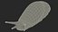 Spanish Slug Rigged