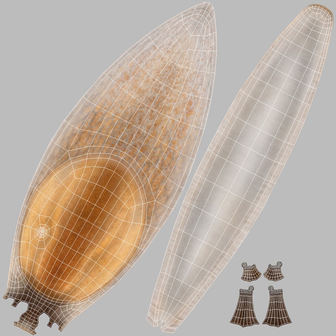 3D Spanish Slug Rigged https://p.turbosquid.com/ts-thumb/i9/urT7tL/G1/spanishslugriggedmb3dmodel030/jpg/1673610483/1920x1080/fit_q87/64846b341e0175f074dea6ea5ff1cfaaee72fa51/spanishslugriggedmb3dmodel030.jpg