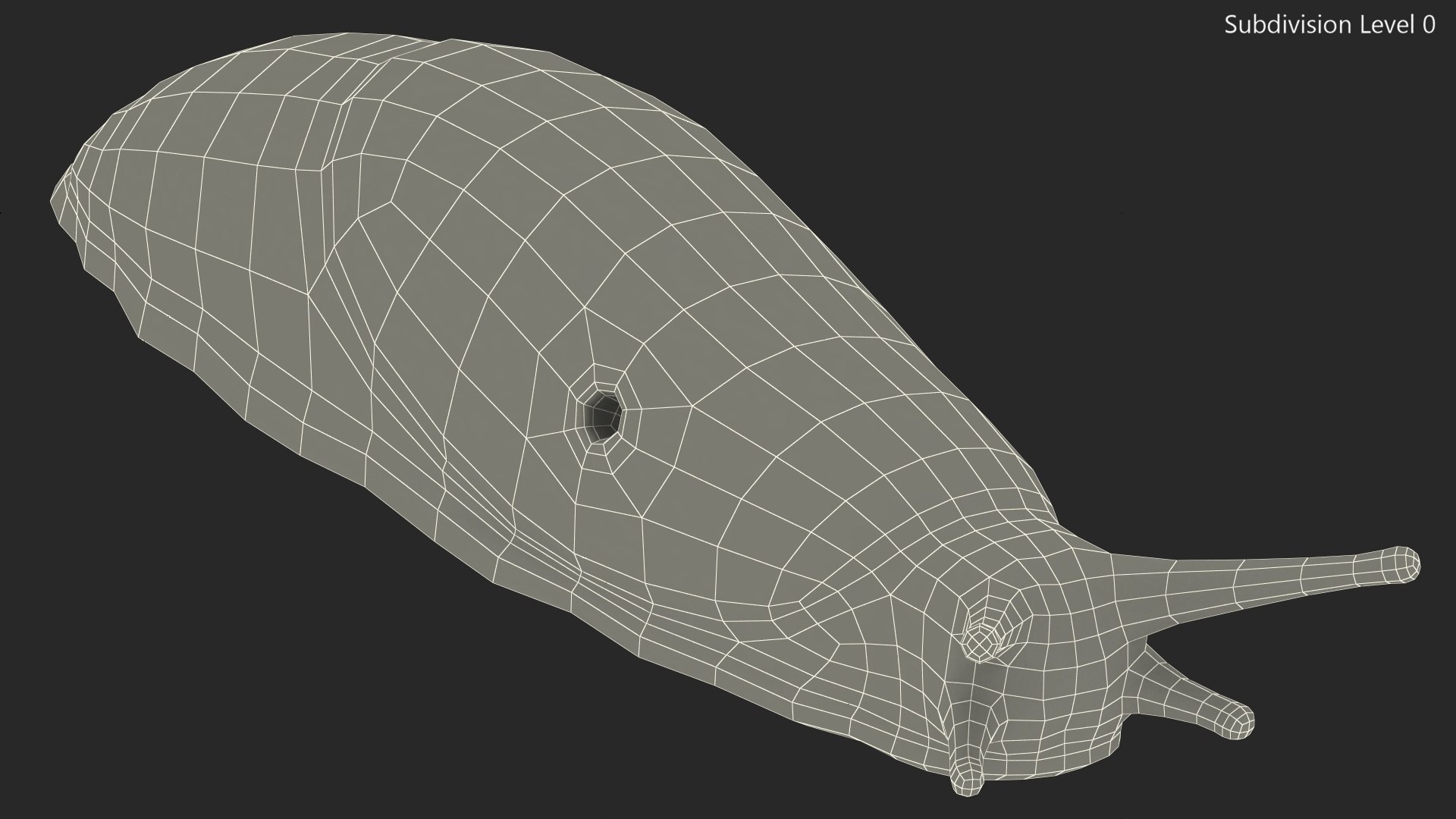 3D Spanish Slug Rigged https://p.turbosquid.com/ts-thumb/i9/urT7tL/Kt/spanishslugriggedmb3dmodel028/jpg/1673610476/1920x1080/fit_q87/7bc47e61c2e3c960e2191dce0fd064518607f668/spanishslugriggedmb3dmodel028.jpg