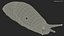 Spanish Slug Rigged