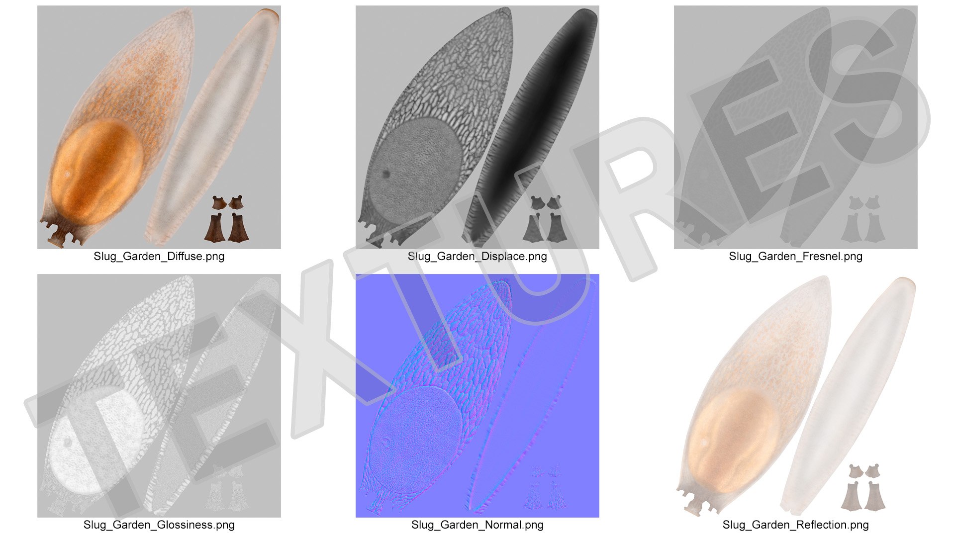 3D Spanish Slug Rigged https://p.turbosquid.com/ts-thumb/i9/urT7tL/Mx/spanishslugriggedmb3dmodel031/jpg/1673610487/1920x1080/fit_q87/1580532eb5903e437a92a4ba96353e802649e04c/spanishslugriggedmb3dmodel031.jpg