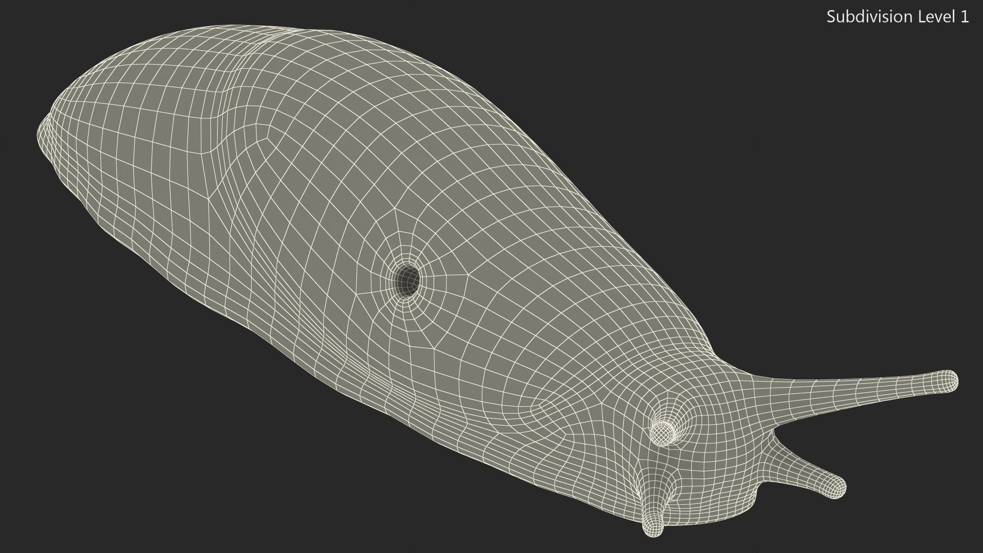 3D Spanish Slug Rigged https://p.turbosquid.com/ts-thumb/i9/urT7tL/NZ/spanishslugriggedmb3dmodel029/jpg/1673610479/1920x1080/fit_q87/41613b5b9425e960af34abe290fe4e5bb089a94a/spanishslugriggedmb3dmodel029.jpg