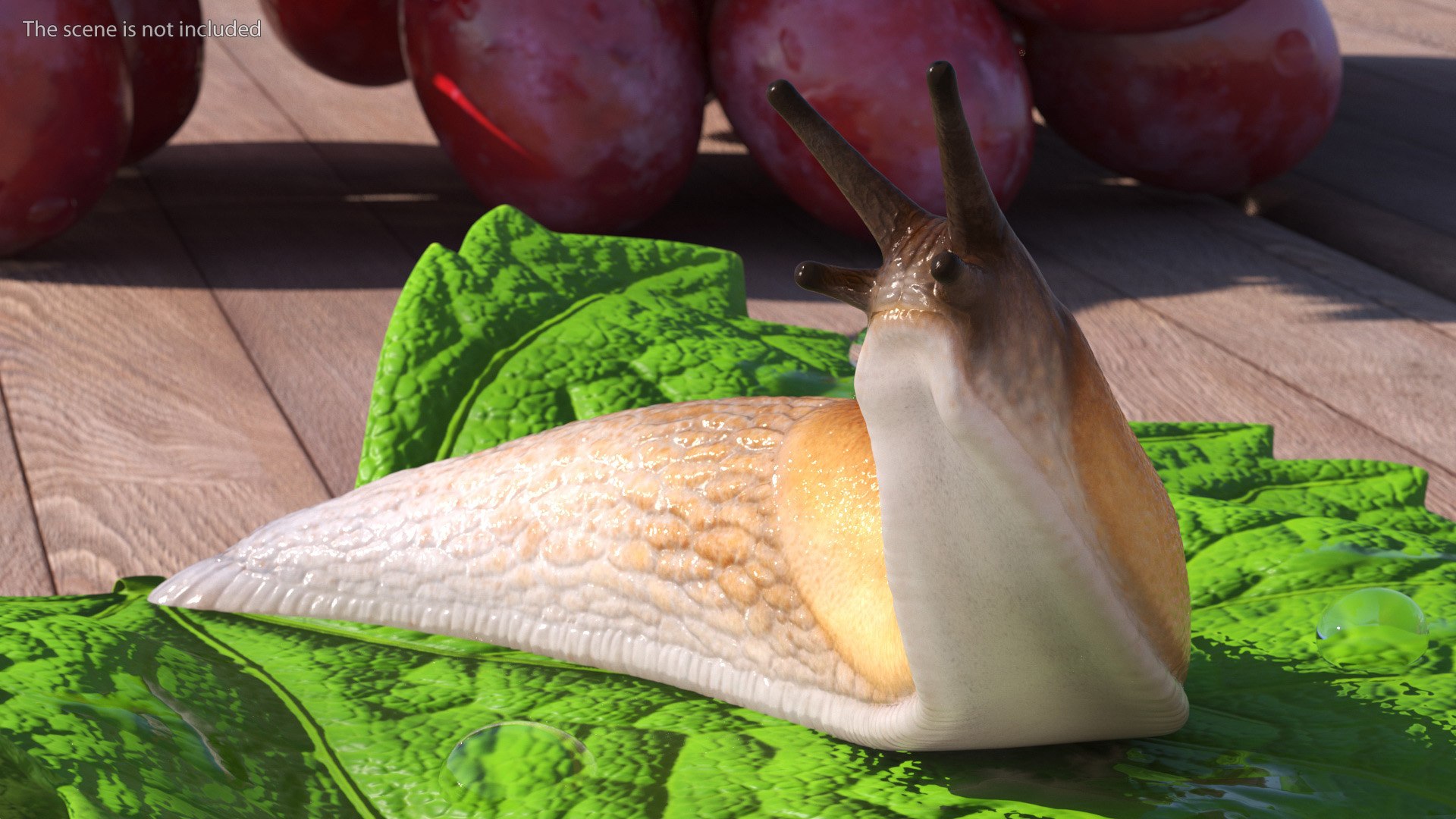 3D Spanish Slug Rigged https://p.turbosquid.com/ts-thumb/i9/urT7tL/vG/spanishslugriggedmb3dmodel011/jpg/1673610419/1920x1080/fit_q87/4c9bb0b1f49e4f32f8fdb9b7a7f906d4d81c834d/spanishslugriggedmb3dmodel011.jpg