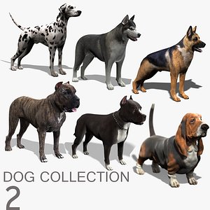 Dog Collection (2)