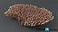 Acropora Coral M 03 3D model