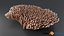 Acropora Coral M 03 3D model