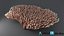 Acropora Coral M 03 3D model