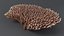 Acropora Coral M 03 3D model
