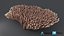 Acropora Coral M 03 3D model