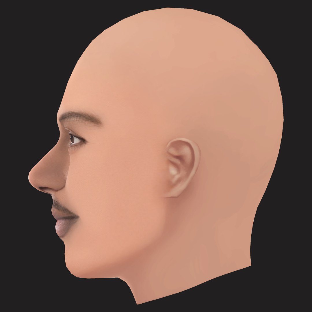 3D Low Poly Playboi Carti Rapper Head model https://p.turbosquid.com/ts-thumb/iA/Jajs02/nH/03/png/1792147349/1920x1080/fit_q87/f536dfccaa316f4de67c2fd991eface7352d53ad/03.jpg