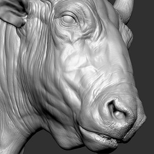 Bizon Bison bison most VFX Zbrush Sculpture Digitale