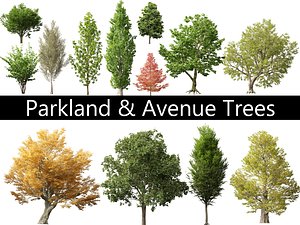 Parkland Avenue Trees Pack 12 3D model