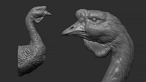 3D Goose Gander bust