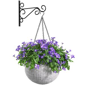 Hanging basket flowerpot rattan pot with flowers