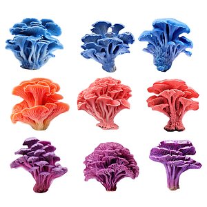 Pandora Mushroom Pack 9 3D model