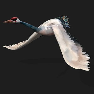 Crane Bird-A5