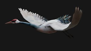 Crane Bird-A5